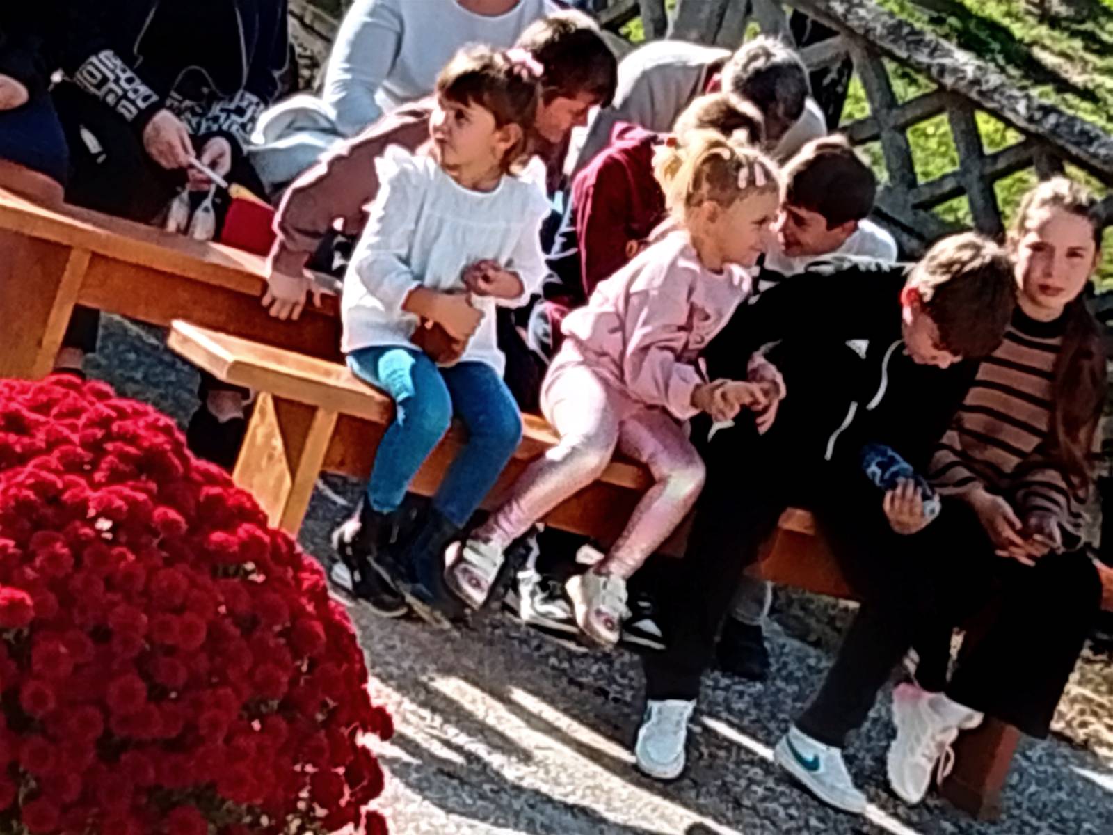 signal 2025 11 15 200910