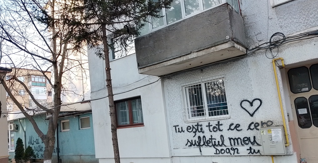 {"capture mode":"automodule","faces":[]}