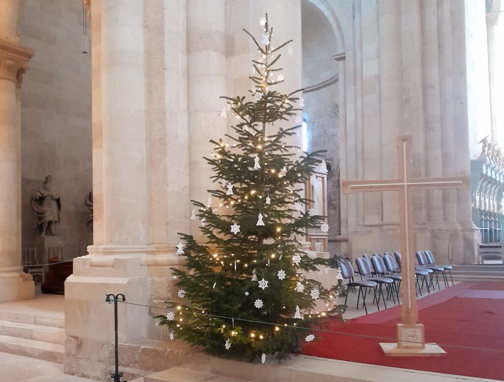 foto catedrala catolică 3 , 1