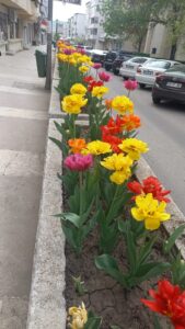 IMG 20240418 WA0005 169x300