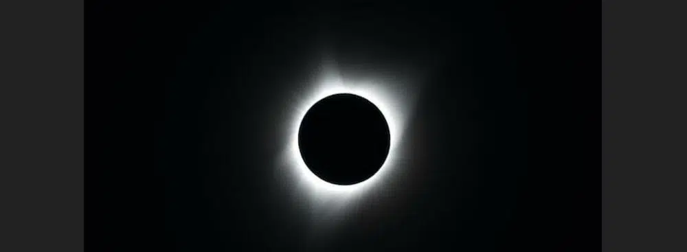 OVER THE MOON