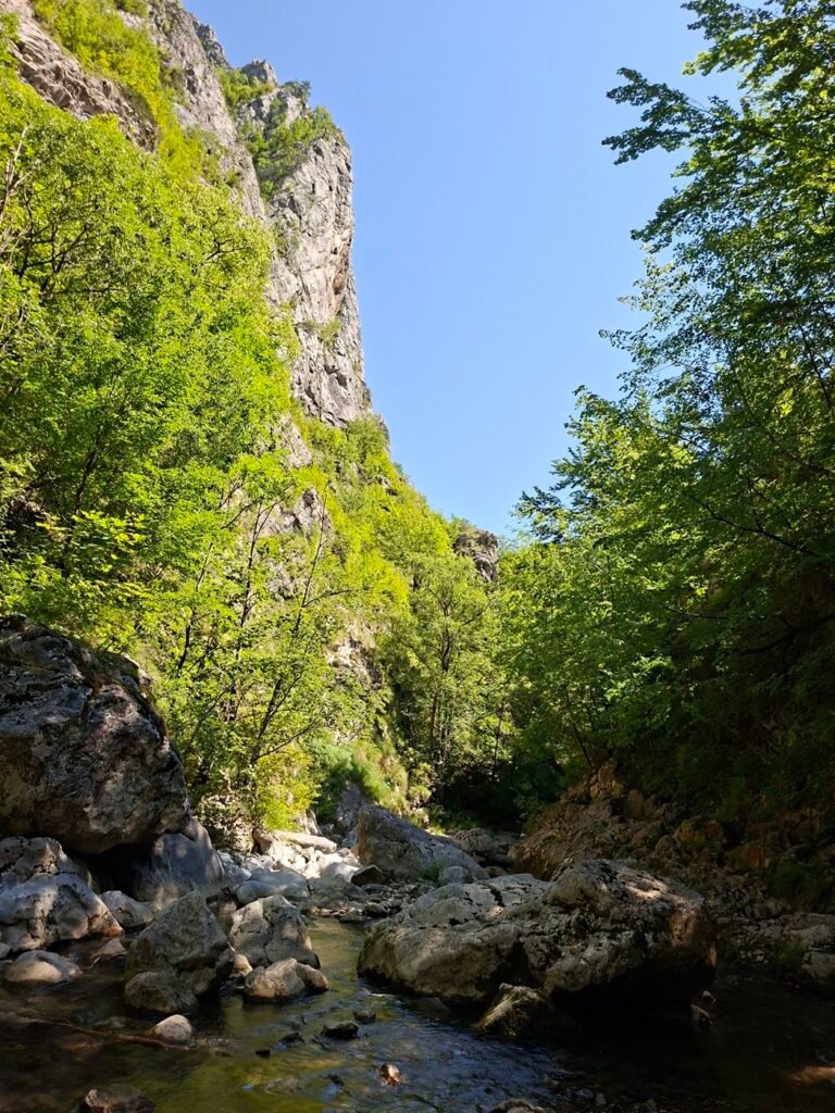 munte rameti 11